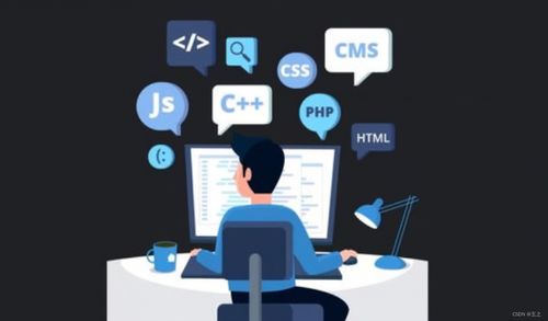 軟件開發常見術語