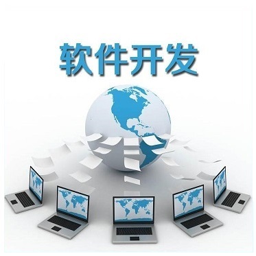 軟件定制開發