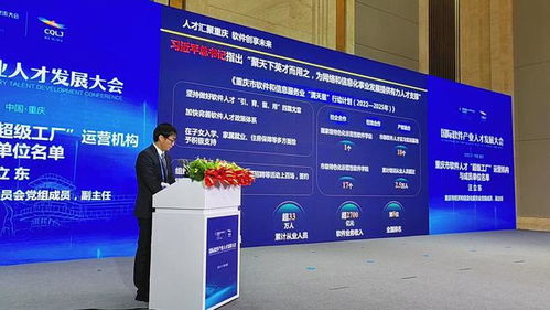 國(guó)際軟件產(chǎn)業(yè)人才發(fā)展大會(huì)在渝舉行 軟件人才的 超級(jí)工廠 來(lái)了